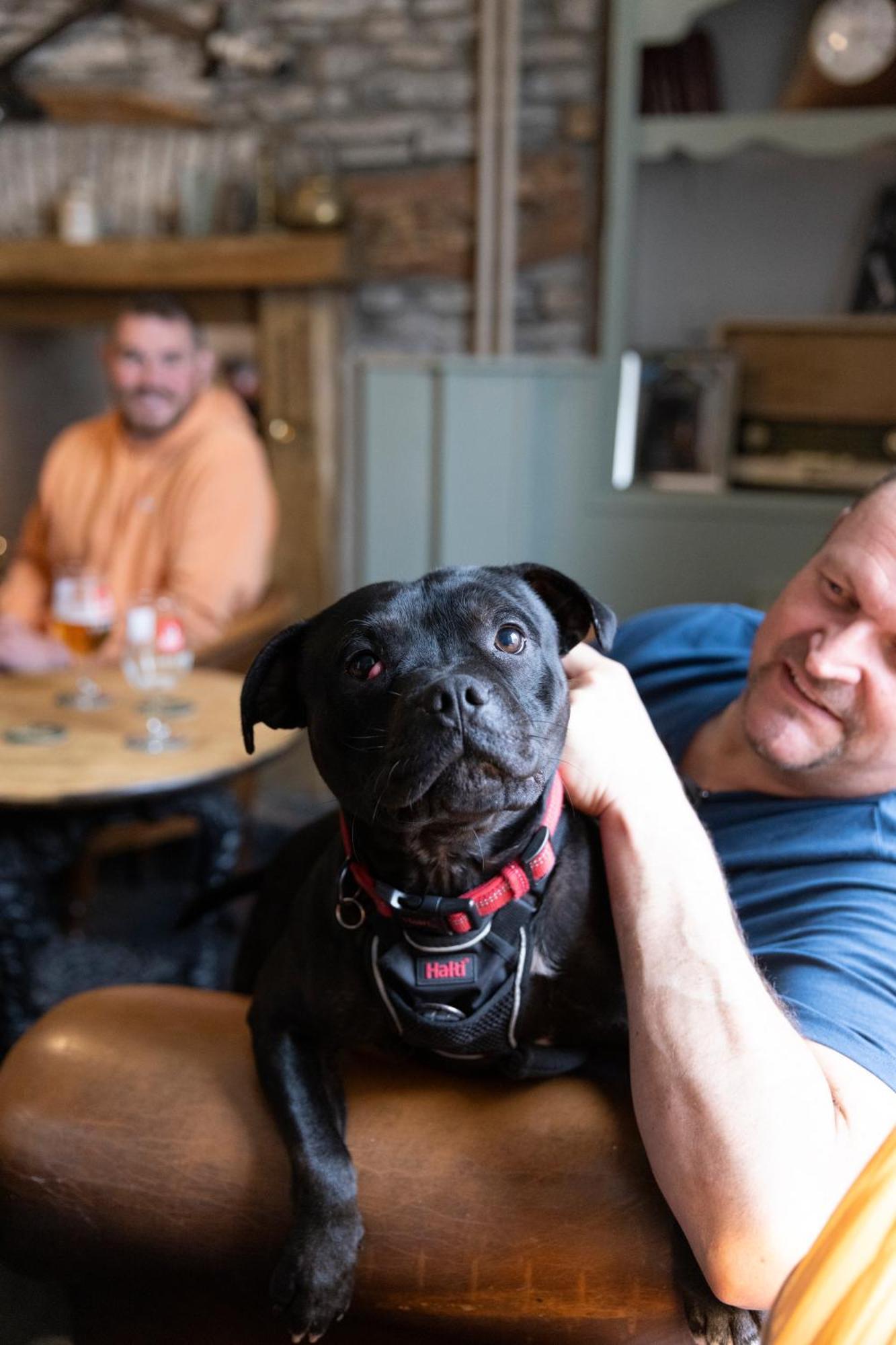The Bear Inn Llantrisant  Exteriör bild
